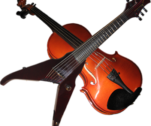 DENINZONEWS WINTER 2017