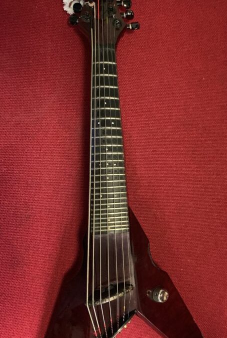 DENINZONEWS WINTER 2018/2019