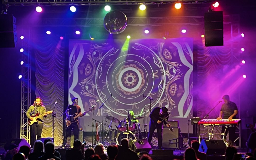 Deninzonews Feb/March 2025